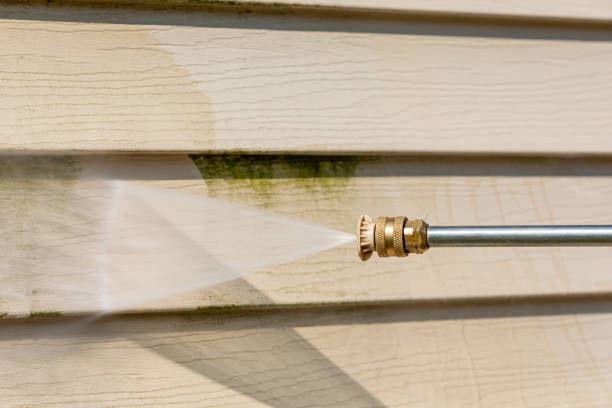 Best Sidewalk Pressure Washing  in Postville, IA